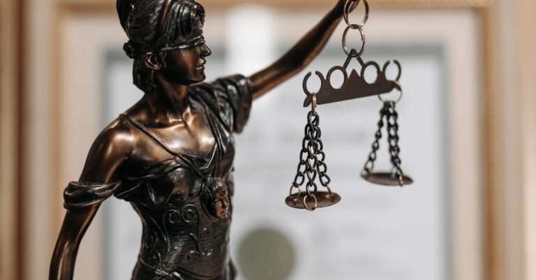 découvrez le statut juridique et ses implications légales pour mieux comprendre les droits et obligations associés.